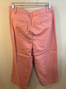 Talbots blush Size 14 pants