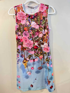 Clover Canyon pink/blue Size M dress