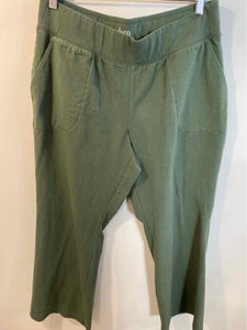 d & co Green Size LP pants