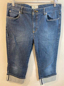 Talbots denim Size 12 jeans