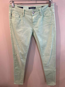 Vigoss Green Size 26 jeans